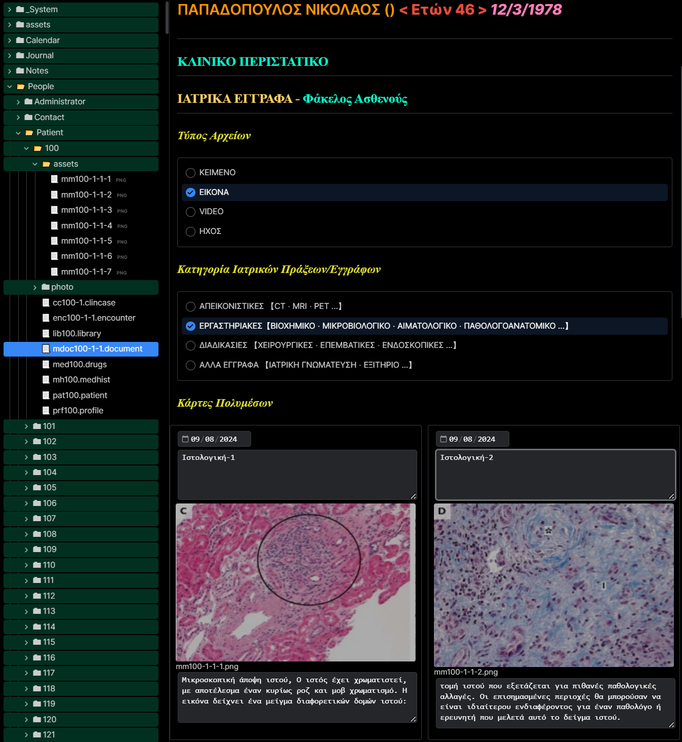 Fig.8: Στο δεξιό πάνελ είναι ανοιχτός ο φάκελος πολυμέσων μέσα στον φάκελο ασθενούς (Patient/100). Αυτά παρουσιάζονται στον χρήστη ως κάρτες πολυμέσων μέσα σε ένα ιατρικό έγγραφο (mdoc100-1-1.document) που συνδέεται πάνω στο περιστατικό του ασθενούς